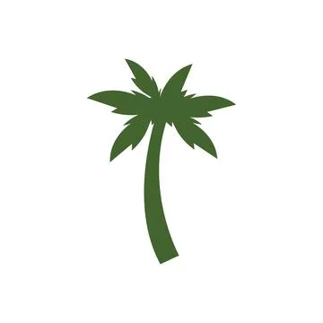 Palm tree leaf  illustration Stock Illustration