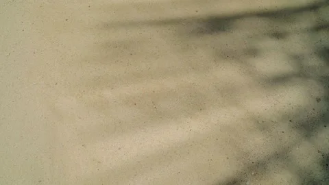 Palm tree leaf shadow on warm sandy beach or shore on tropical island Stock Footage 197337150