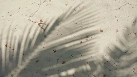 Palm Tree Leaf Shadows on White Sand Beach, Tropical Vacation Background with Stock Footage 327797282