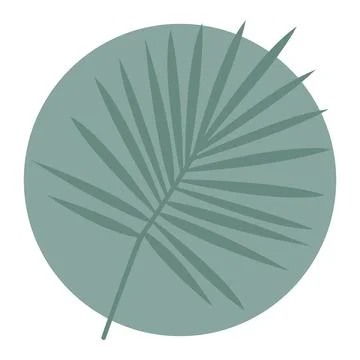 Palm tree leaf silhouette. Vector illustration Illustrazione stock