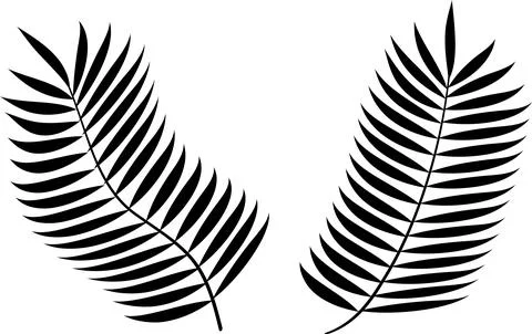 Palm tree leaf silhouettes set isolated on white background Stock Illustration