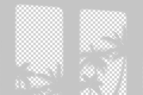 Palm tree leaf window shadow overlay for aesthetic product photography. Stock Illustration