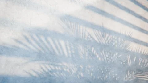 Palm tree leaves casting shadow on concrete wall, creating tropical summer Illustrazione stock