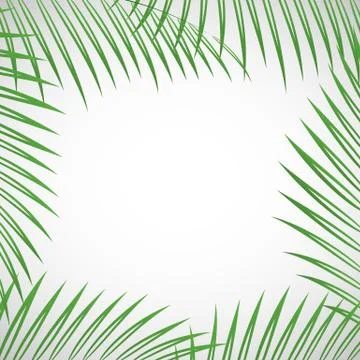 Palm tree leaves Stock Illustration
