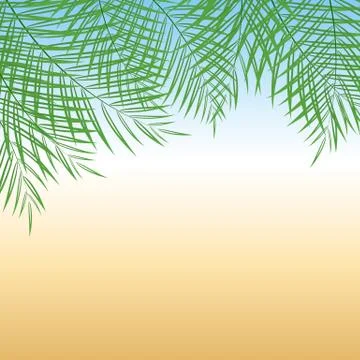 Palm tree leaves Stock Illustration