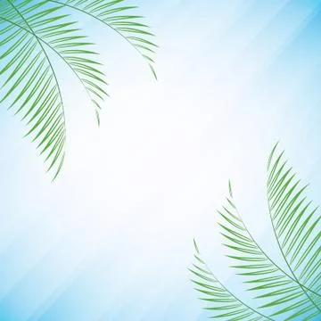 Palm tree leaves Stock Illustration
