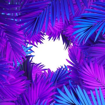 Palm tree leaves Stock Illustration