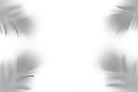 Palm tree leaves Stock Illustration