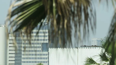 Palm Tree Leaves Moving in the Wind. Big City Landscape Stock Footage 88887327
