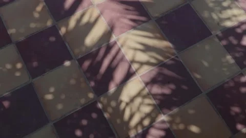 Palm tree leaves shadow blowing in the wind. Tiled background. Hot day Stock Footage 244933096