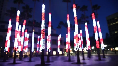 Palm Tree Lights Stock Footage 127481255