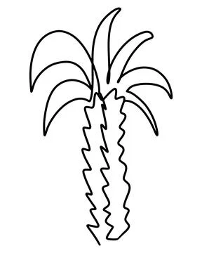 Palm tree line art, vector illustration. Stockillustratie