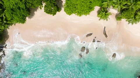 Palm tree-lined beach with gentle turquoise waves. Seychelles, Mahe. Stock Footage 302854049