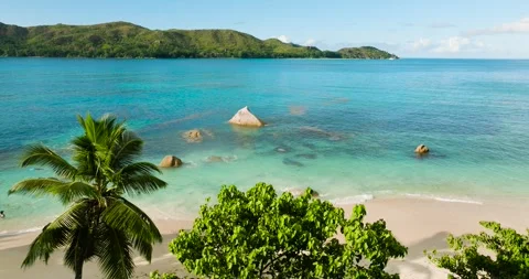 Palm tree-lined beach with turquoise waters and scattered rocks. Praslin Stock Footage 302522295
