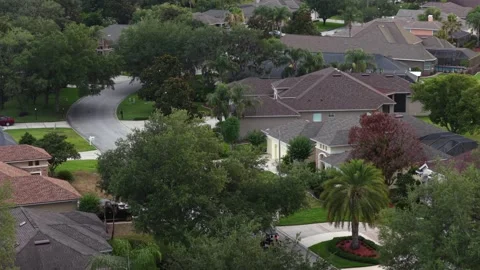 Palm tree-lined circular driveways wind through upscale neighborhood near golf Vídeo Stock 338983977