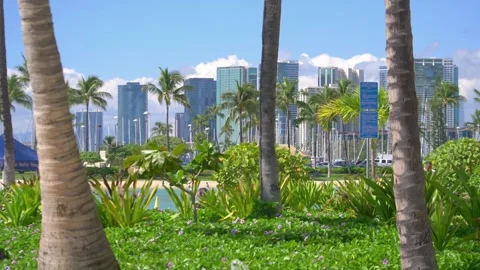 Palm tree-lined pathway leading to Honolulu's modern cityscape in 4k slow m.. Stock Footage 281640958