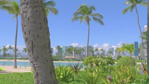 Palm tree-lined pathway leading to Honolulu's modern cityscape in 4k slow m.. Stock Footage 281786051