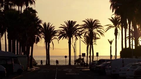 Palm tree-lined promenade illuminated by the warm glow of a Tenerife sunset.. Stock Footage 288563305