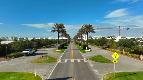 Palm tree lined road with beautiful blue sky approaching a beach town. Stock Footage 239071834