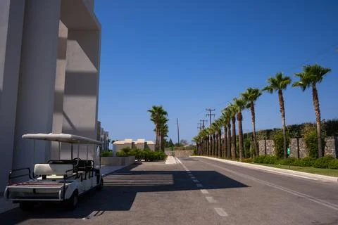 Palm tree lined road with imposing car on sunny day near hotel Foto stock