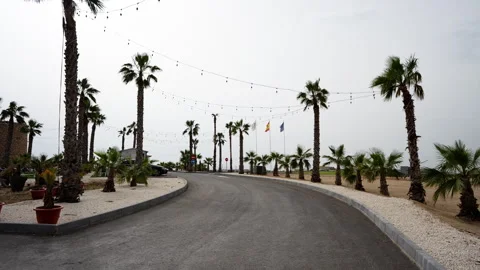 Palm Tree Lined Road Near Modern Resort Complex Stock Footage 336292049