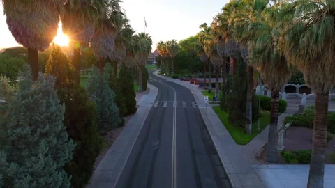 Palm tree lined street on college campus. Aerial establishing shot of Stock Footage 246293059