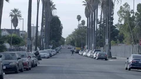 Palm Tree Lined Street with Distant Traffic and Pedestrian 動画素材 344613726