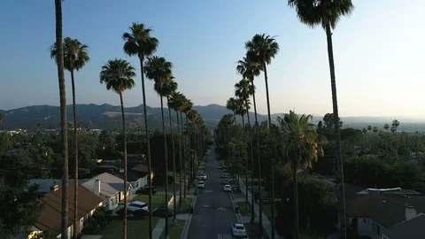 Palm tree lined street at sunset in Los Angeles - Glendale, CA 스톡 동영상 110931022