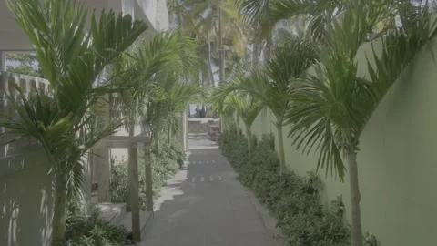 Palm tree lined walkway in Isla Verde Puerto Rico Beach with beautiful skies Stock Footage 276041287