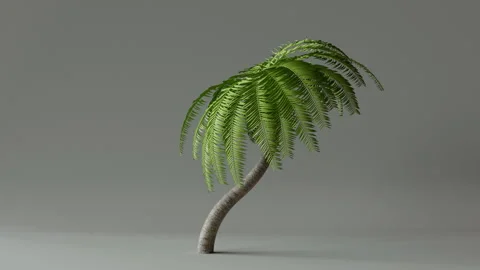 Palm Tree With Luma Matte Looping Stock Footage 303216304