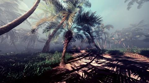 A palm tree in the middle of a forest Stock Illustration