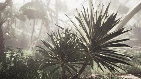 A palm tree in the middle of a forest Illustrazione stock