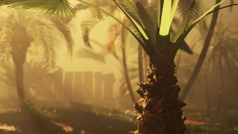 A palm tree in the middle of a forest Stock Illustration