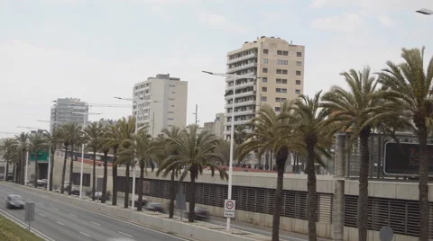 Palm Tree Motorway Traffic Stock Footage 49387697