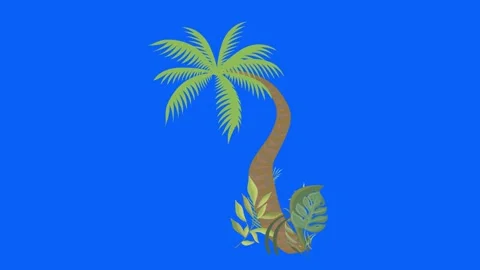 Palm tree moving by wind, chroma key, seamless loop animation Stock Footage 155513060