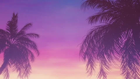 Palm tree moving with wind Stock Footage 257769731