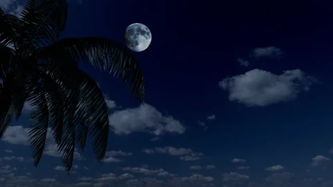 Palm tree at night against the backdrop of the moon and clouds. 库存影片 145588609