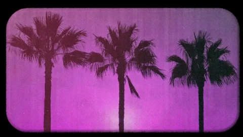 Palm tree nostalgia 動画素材 104856052