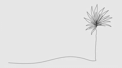 Palm tree. One line drawing animation with alpha channel. Stock Footage 307632255