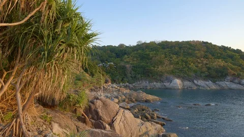 Palm tree or pandan in warm sunset beach in tropical island with rock and hill Video stock 114914893
