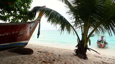 Palm Tree Over The Beach And Long tail Boat, Frontal Dolly Camera Stock-Footage 80266152