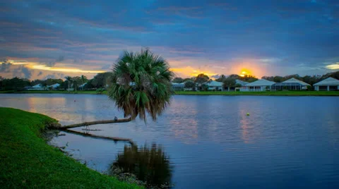 Palm Tree Over Lake in Palm Beach County Florida Time Lapse Видео 33999424