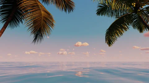 Palm tree over the sea in summer near the beach. Video stock 267536337