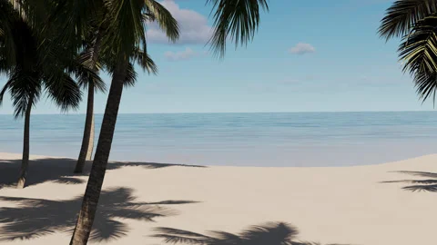 Palm tree over the sea in summer near the beach. Stock Footage 282297219