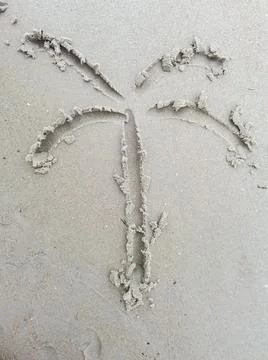 A palm tree painted on the sand Stock Photos