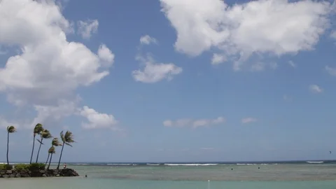 Palm Tree Paradise Stock Footage 104810953