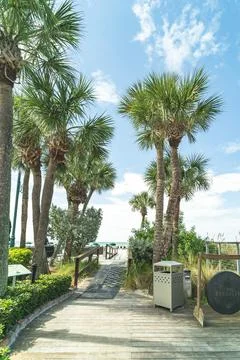 Palm tree path to beach at Don Cesar Hotel St. Pete beach Florida Stock Photos