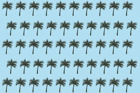 Palm Tree Pattern Stock Illustration