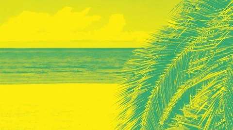 Palm tree 스톡 사진