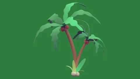 Palm tree on plant in the middle isolated on green screen background Stock Footage 336858691